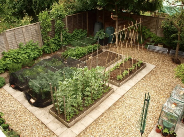 Как сделать огород на маленьком участке?