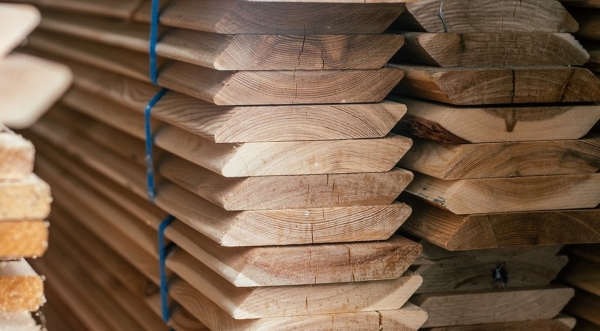 14 пород древесины, которые используют в строительстве (с описанием свойств и сравнением)